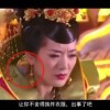 49图库49tk绿色6.0.1版本